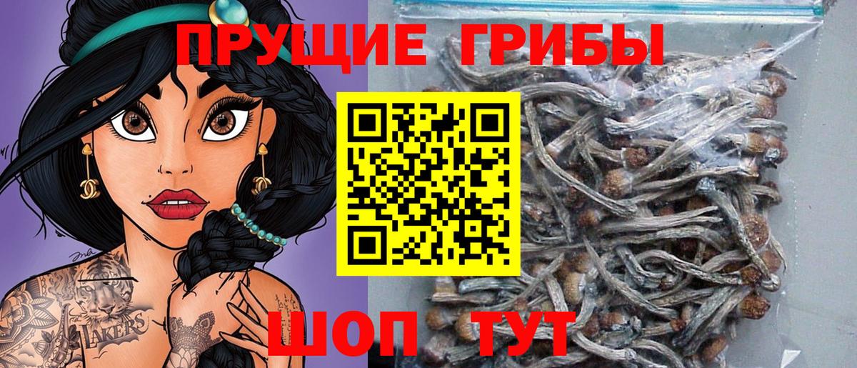 Галлюциногенные грибы MAGIC MUSHROOMS Краснокаменск