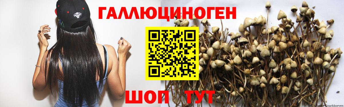 Псилоцибиновые грибы Psilocybe  Псилоцибиновые грибы прущие грибы  Вход с VPN  купить закладку  Краснокаменск 